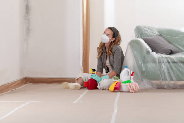 Reliable Mold Removal contractor in Clackamas, OR by WQB Mold Removal